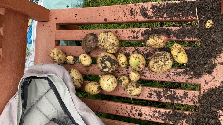 The homegrown potato is never 'worth it' in any practical sense.