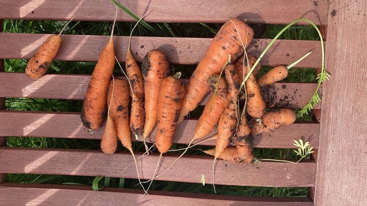 There are as many ways to grow a carrot as there are stars in the sky.