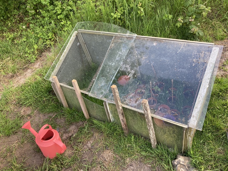 Allotmenting ranges from the scientific, with people discussing the molecular compound of the soil, to the eccentric, with people 
planting in synchronicity with the phases of the moon.